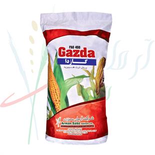 Iranian Gazda corn seed